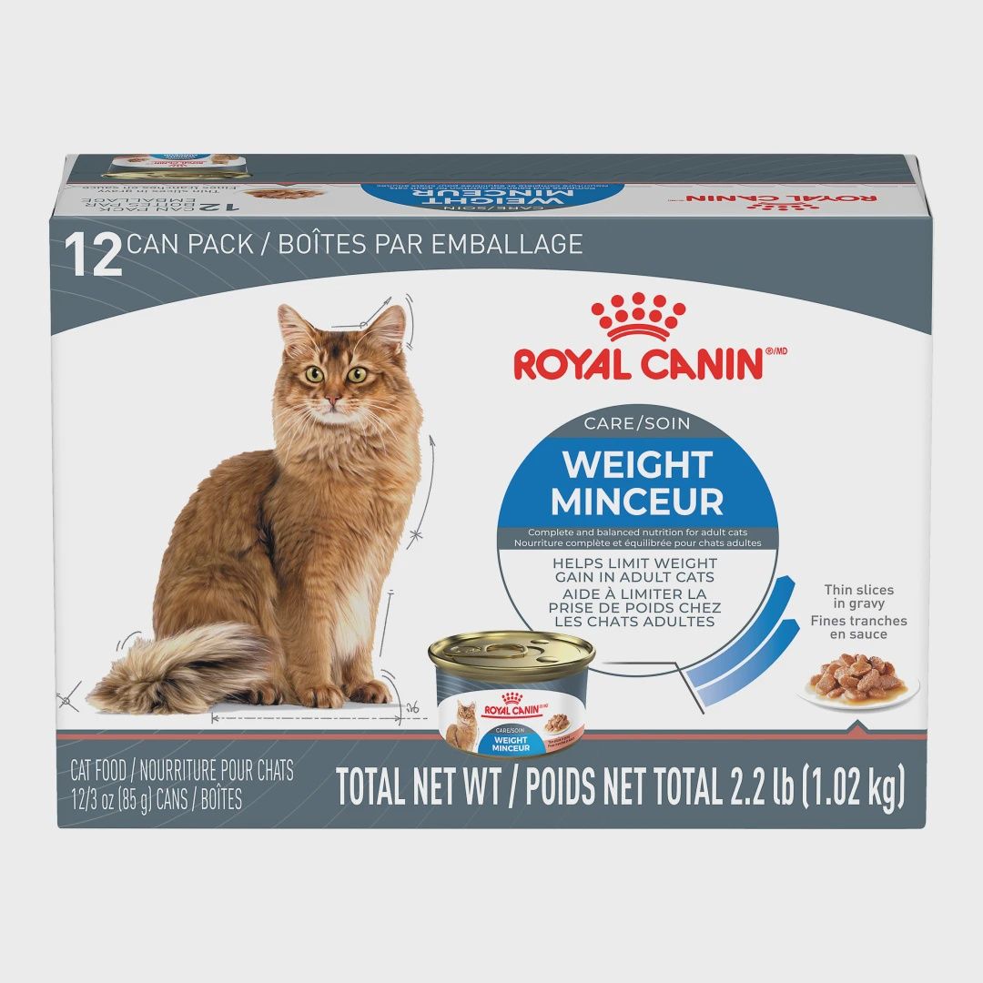Royal Canin / Chat / SOIN MINCEUR _ fines tranches en sauce – Multipack 12 x 85 g (3 oz)