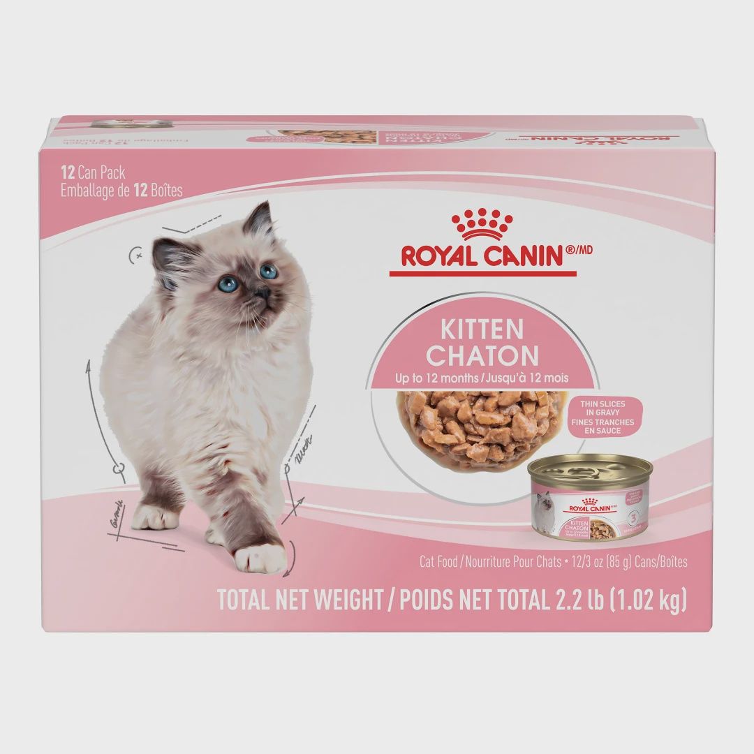 Royal Canin / Chat / CHATON _ fines tranches en sauce – Multipack 12 x 85 g (3 oz)