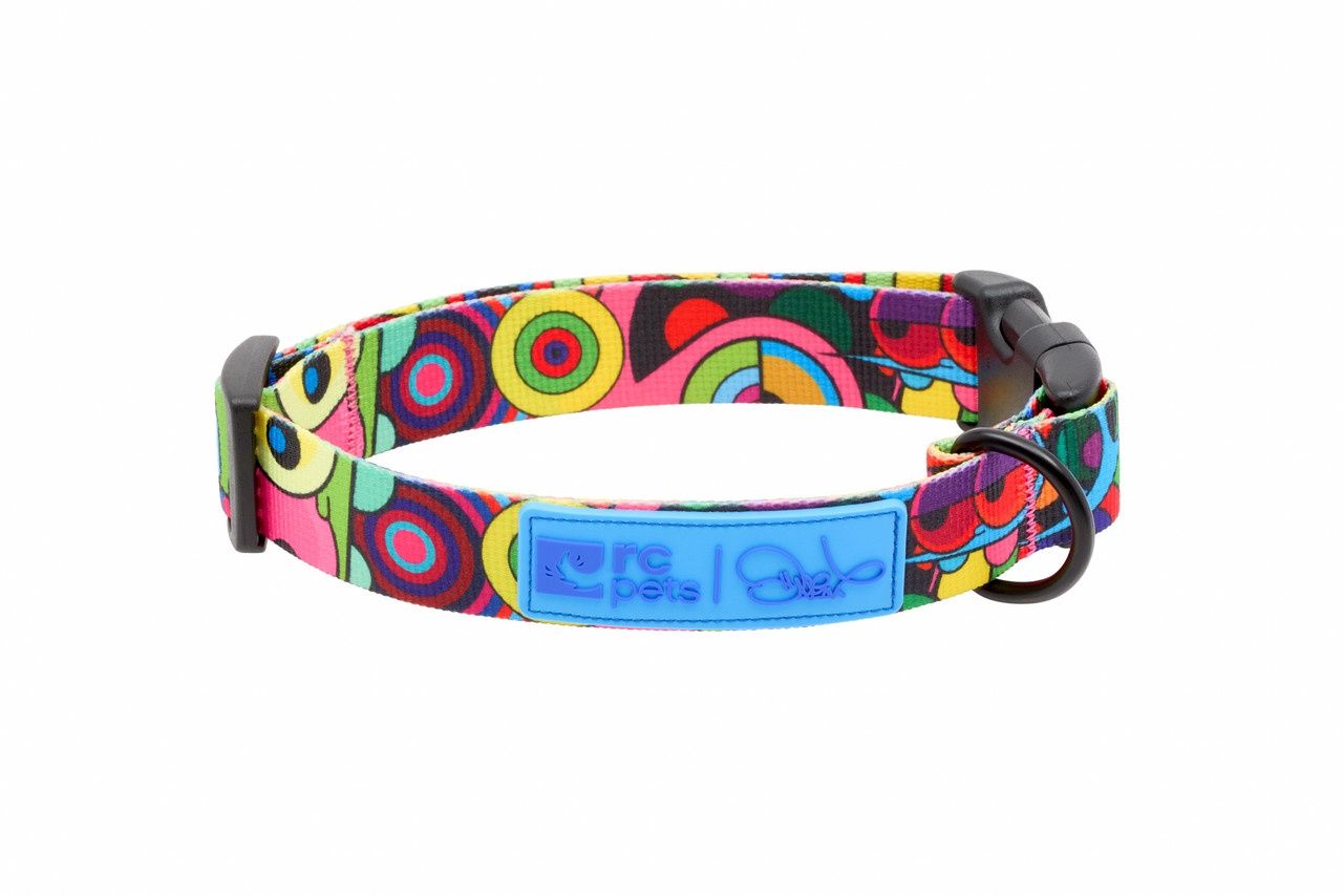 RCPets / Chien / Collier de la série Artiste, Format: Petit (23-33 cm/9''-13'')