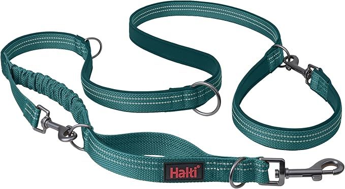 Halti® / chien / laisse multifonction Anatomy