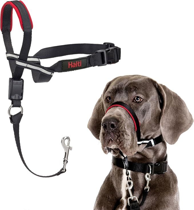 Halti® / chien / Licou _ Optifit