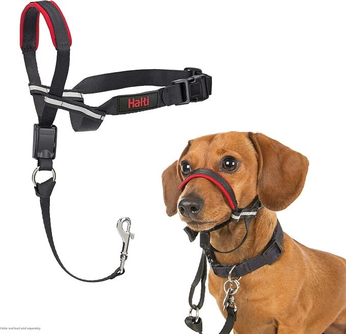 Halti® / chien / Licou _ Optifit, Format: Petit