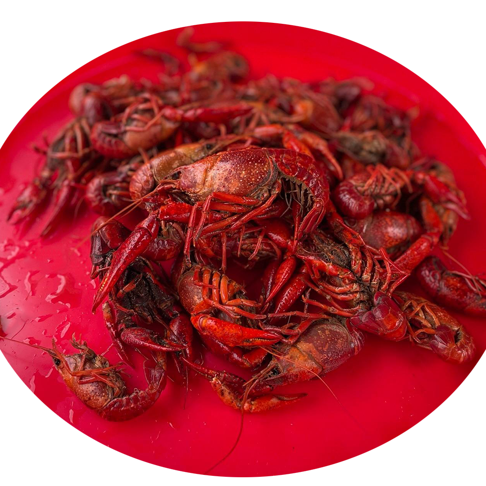 Crawfish (By the pound)