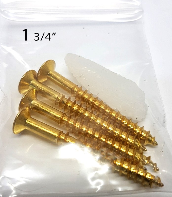 Gold Neck Plate, Neck Screws, Gasket and Wax