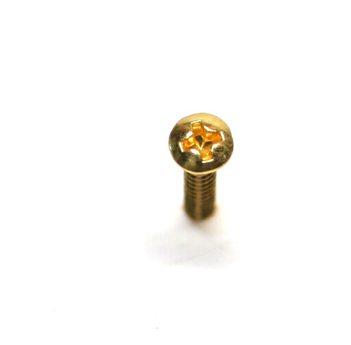 Brio 10 Pack Bridge Mounting Screws 3mmD 22mm L Gold
