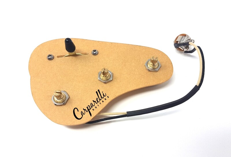 Carparelli Pre-Wired Strat HSS Guitar Wiring Harness + 2 Vitamin Q Paper in Oil Caps 500k CTS Pots