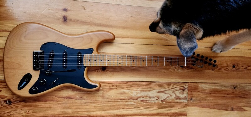 SOLD. Carparelli ALDER SOLD.