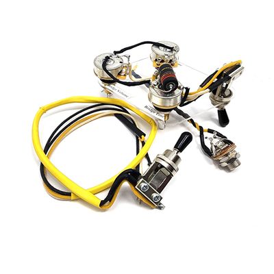 Gary Moore BFG Pre-Wired Kit- Kill Switch