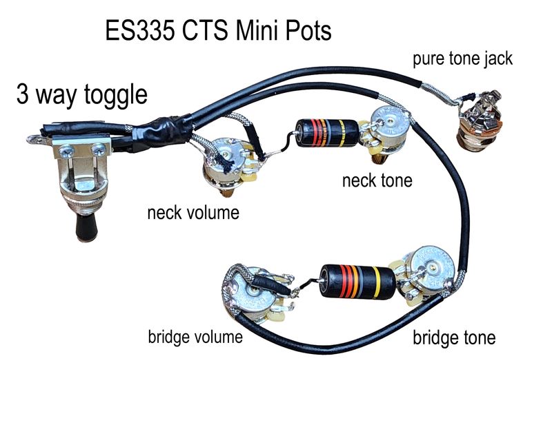 Carparelli Sheraton Pre-Wired Harness — CTS Mini 500K Pots Edition- Options