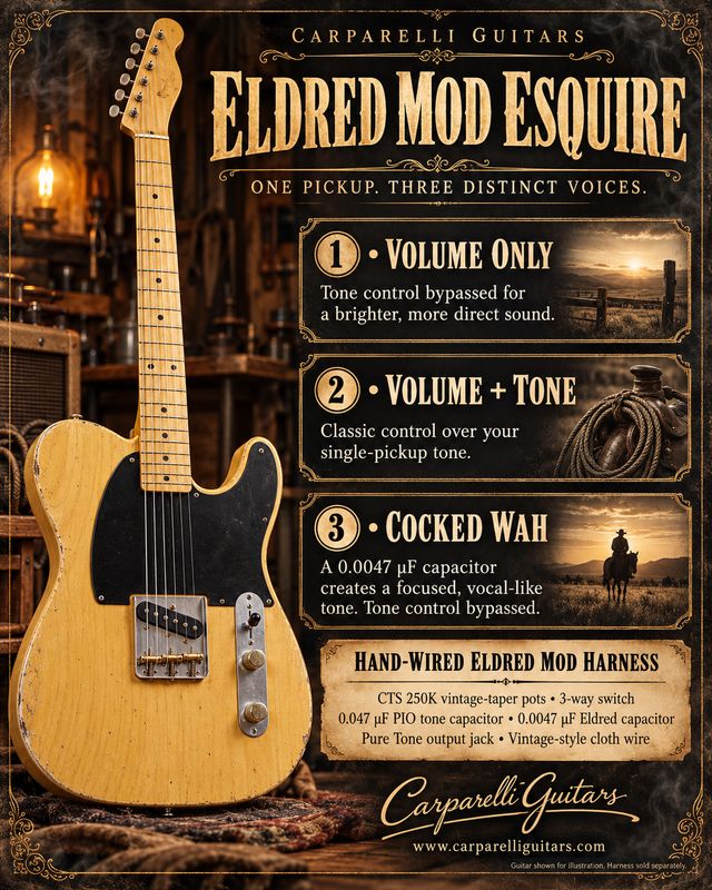 ESQUIRE WIRING HARNESS (ELDRED MOD)