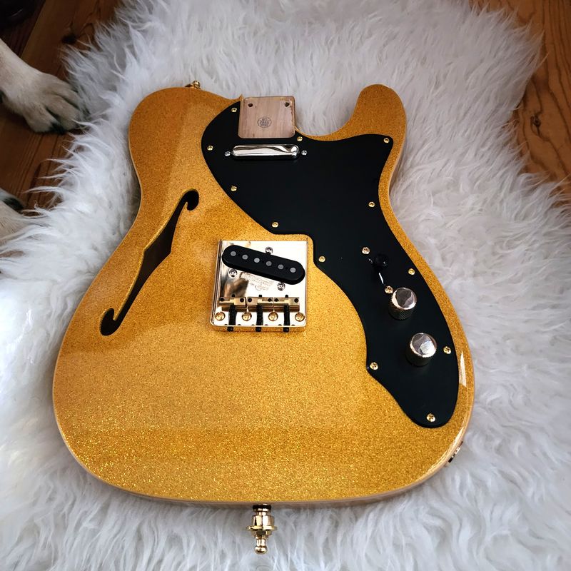 PRE-LOADED Brio 69 T-Style Thinline SS Double Bound Alder Body Semi-Hollow Gold Sparkle