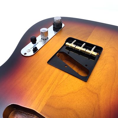 Brio "Dial-In" Telecaster Control Plate – Dual Concentric Tone &amp; Blender Mod
