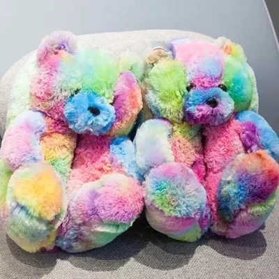 Rain bow Teddy slippers