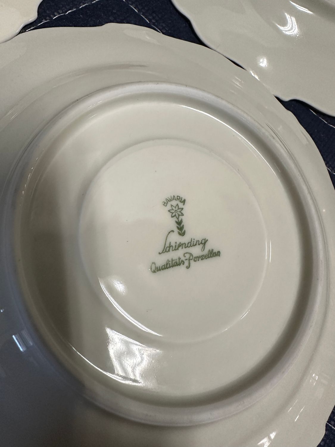 Schirnding Bavarian Porcelain Tea Set (19-Piece Set from Bavaria)
