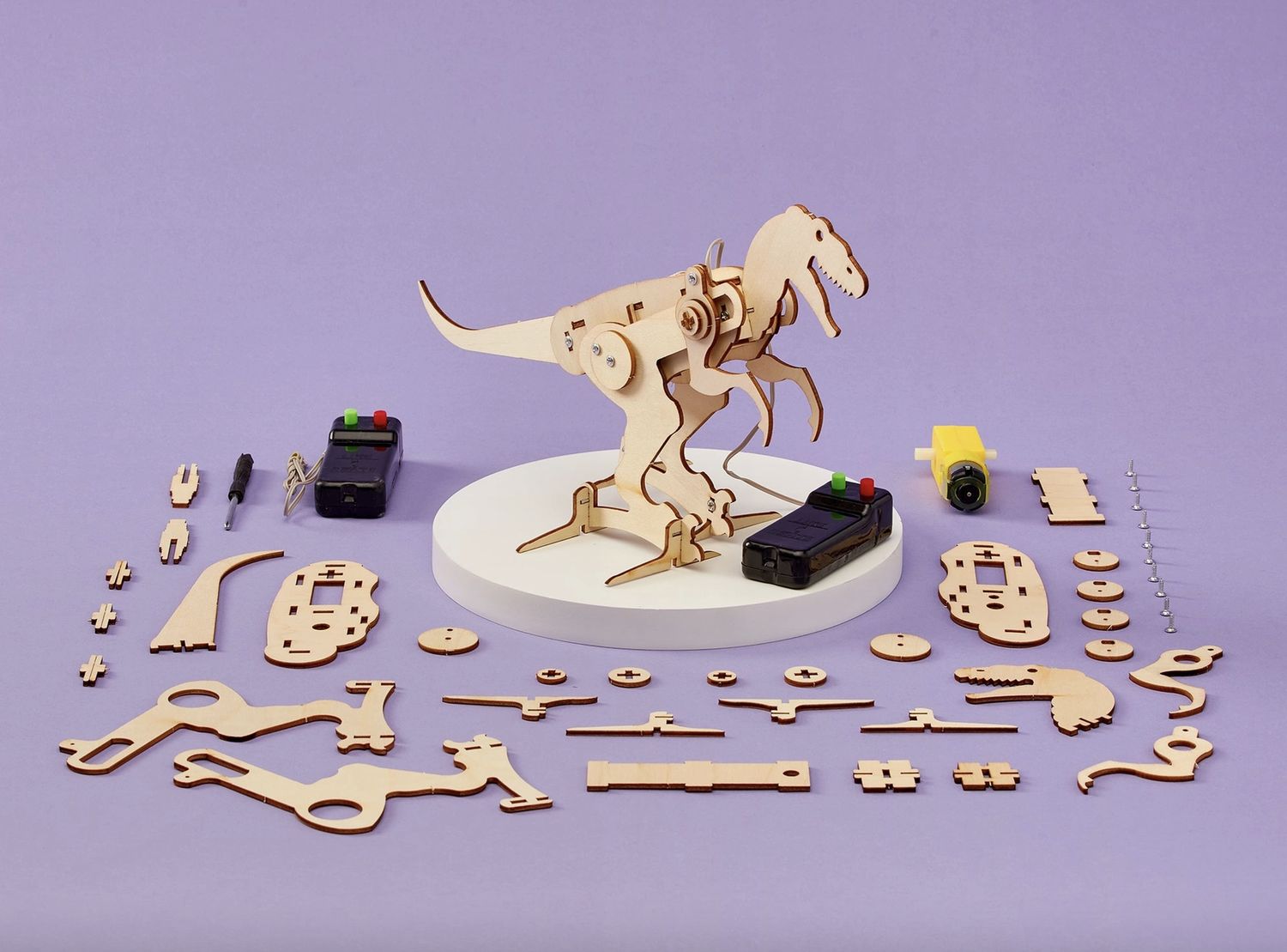 Dinosaur Robot DIY Kit