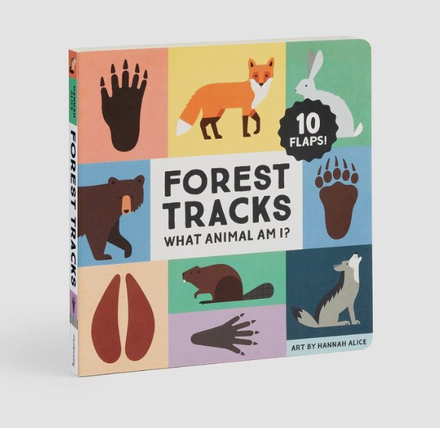 Forest Tracks: What Animal am I?