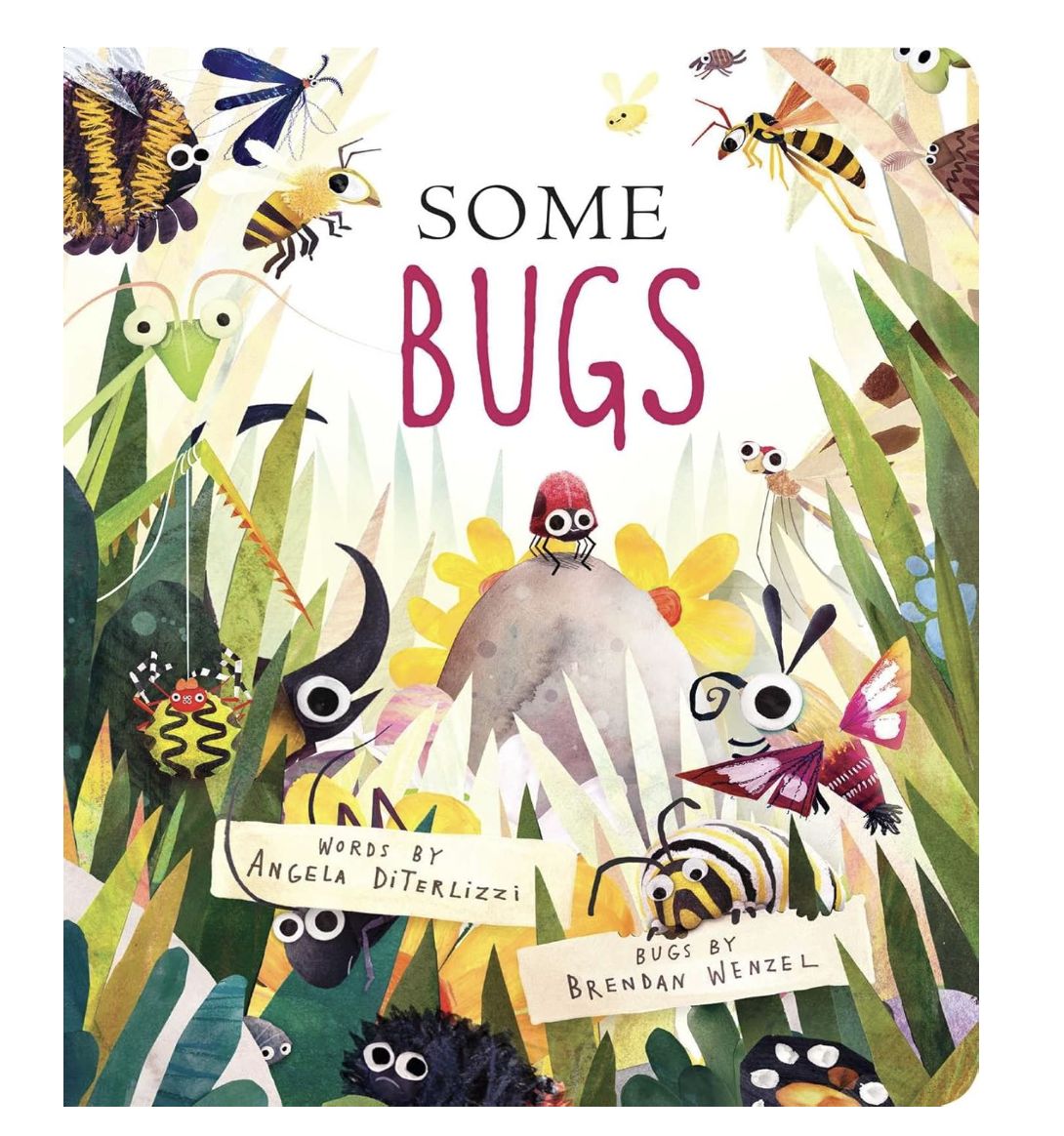 Some Bugs Boardbook
