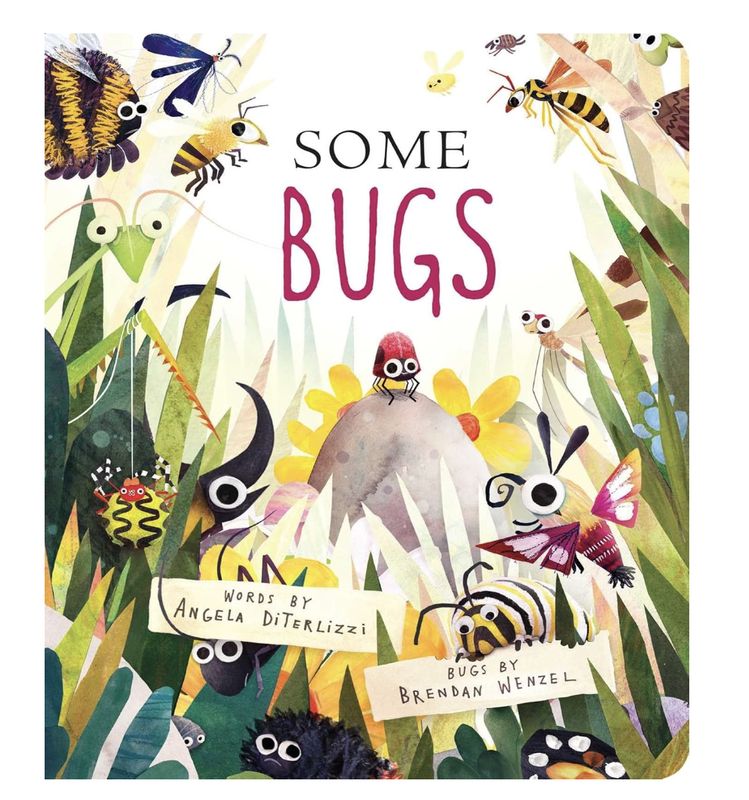 Some Bugs Boardbook