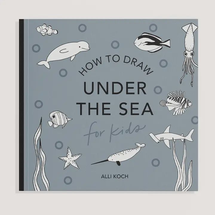 How To Draw Art Book For Kids (Mini)