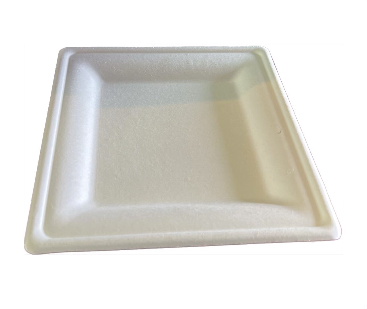 SUGARCANE COMPOSTABLE PLATE (300 pc per box)
