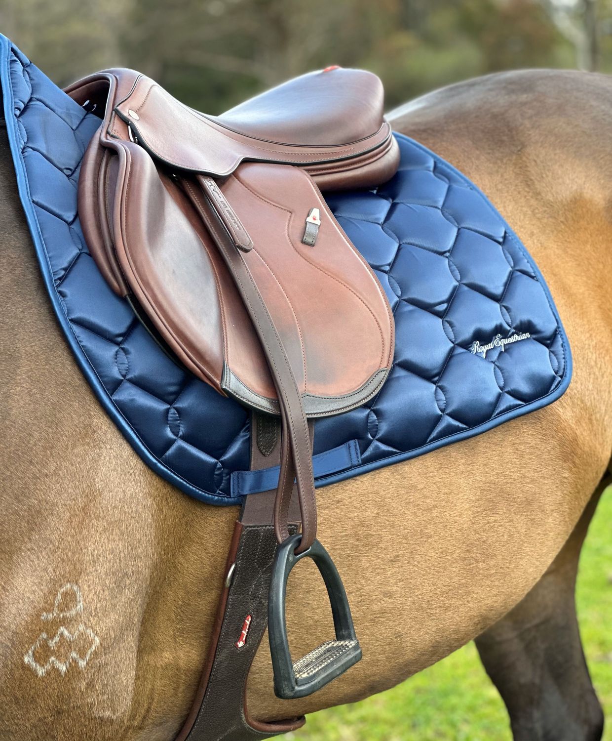 Royal Saddle Pad