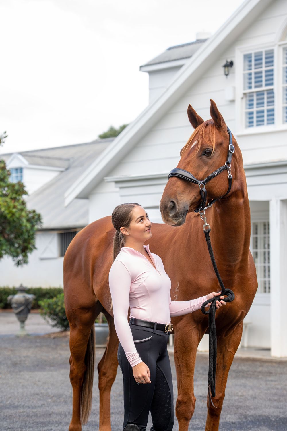 Royal Breech Black