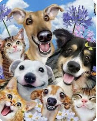 Pawsitively Adored: A Tribute to Our Furry Friends