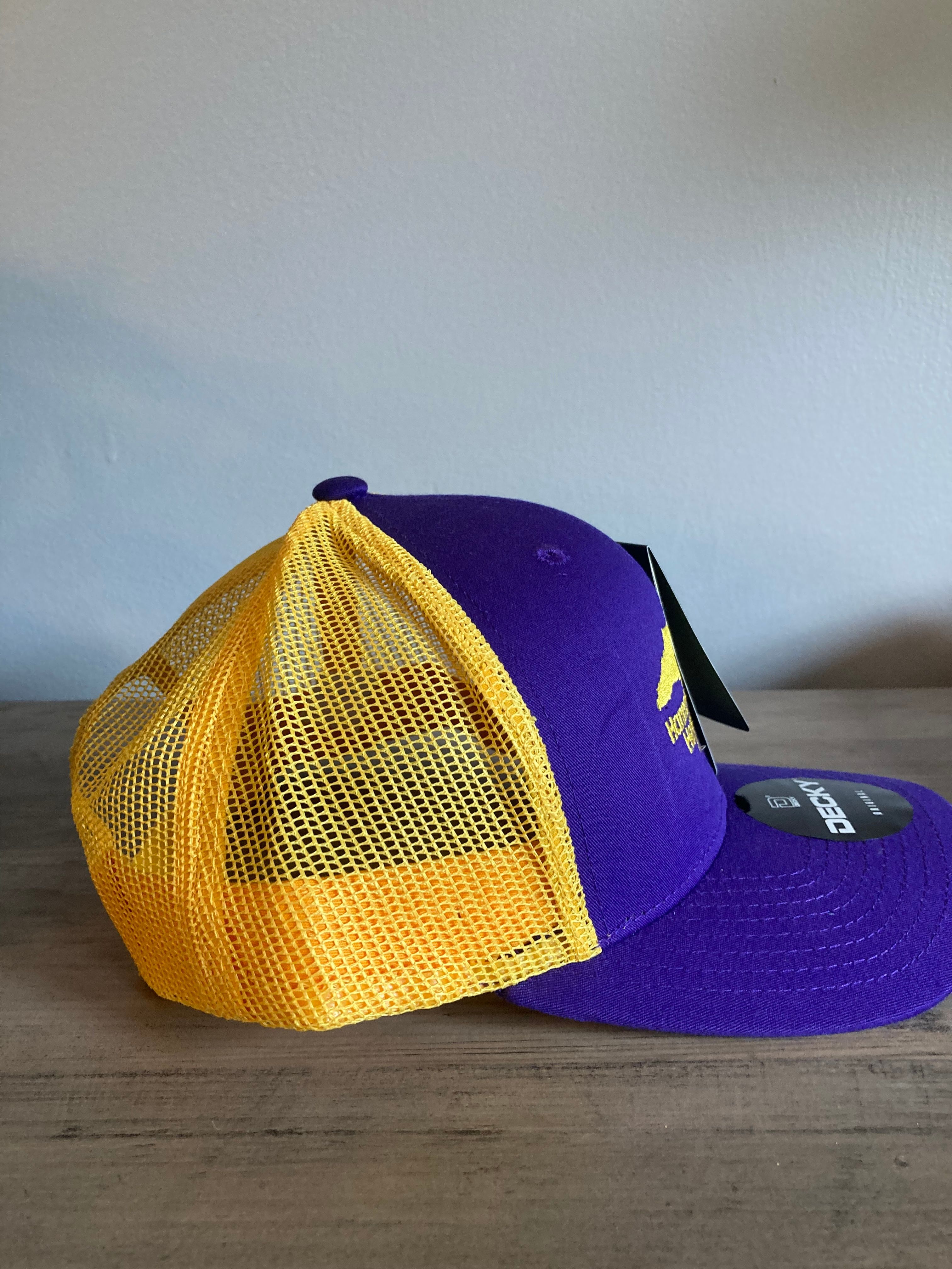 Hannah's Heroes purple and gold hat