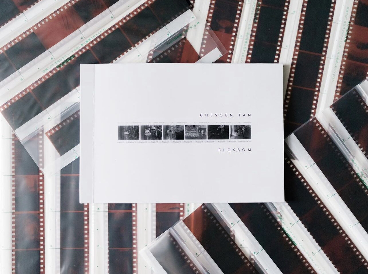 Blossom Photobook