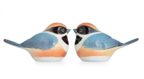 Franz Porcelain Black-Throated Passerine Bird Design Sculptured Porcelain Salt & Pepper Shakers FZ02747