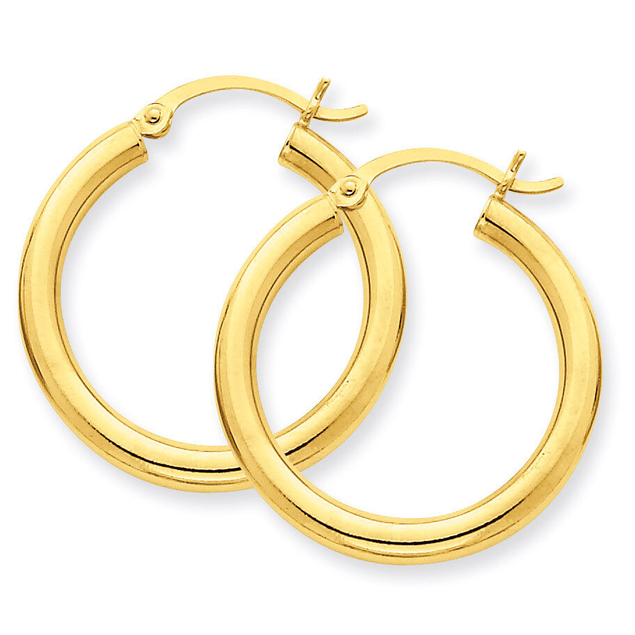 Polished 3mm Round Hoop Earrings 10k Gold 10T937