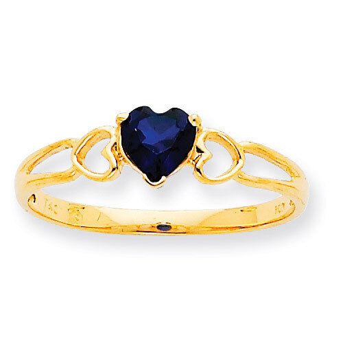 Polished Geniune Saphire Birthstone Ring 10k Gold 10XBR162