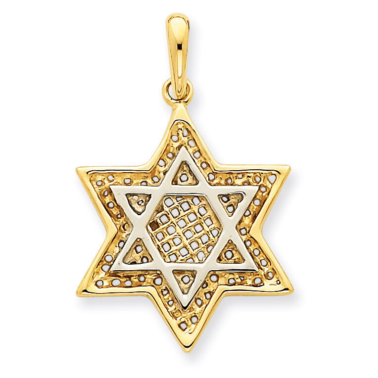 Solid Open-back Meshed Star of David Charm 14K Gold & Rhodium D895