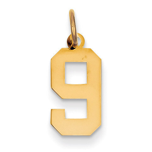 Small Polished Number 9 Charm 14k Gold LS09