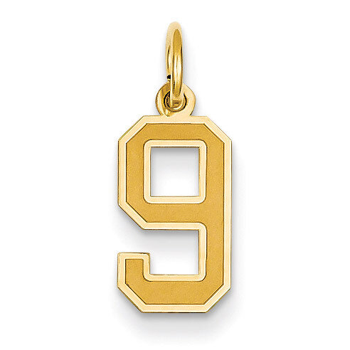 Small Satin Number 9 Charm 14k Gold LSS09