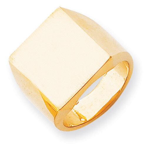 Men's Signet Ring 14k Gold RS362