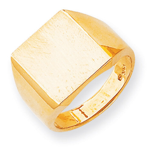 Men's Signet Ring 14k Gold RS636