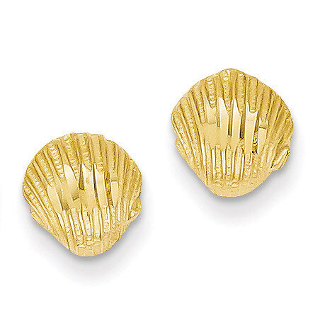 Shell Earrings 14k Gold Diamond-cut TC765