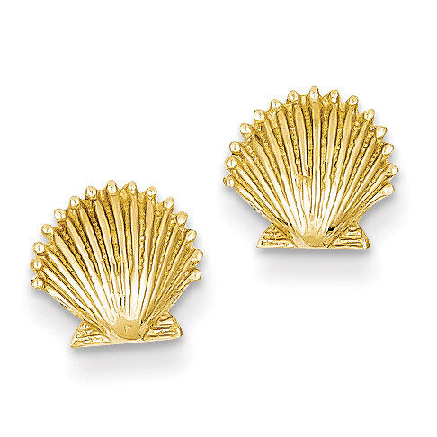 Scallop Shell Post Earrings 14k Gold TE633, MPN: TE633, 637218038121