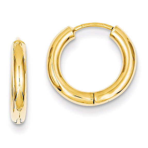 Hollow Hoop Earrings 14k Gold Polished TL610