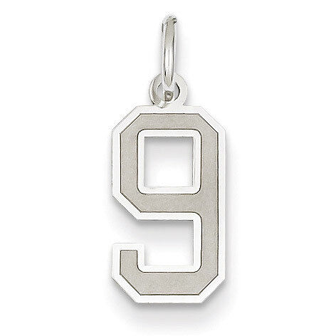 Small Satin Number 9 Charm 14k White Gold WSS09, MPN: WSS09, 886774121536