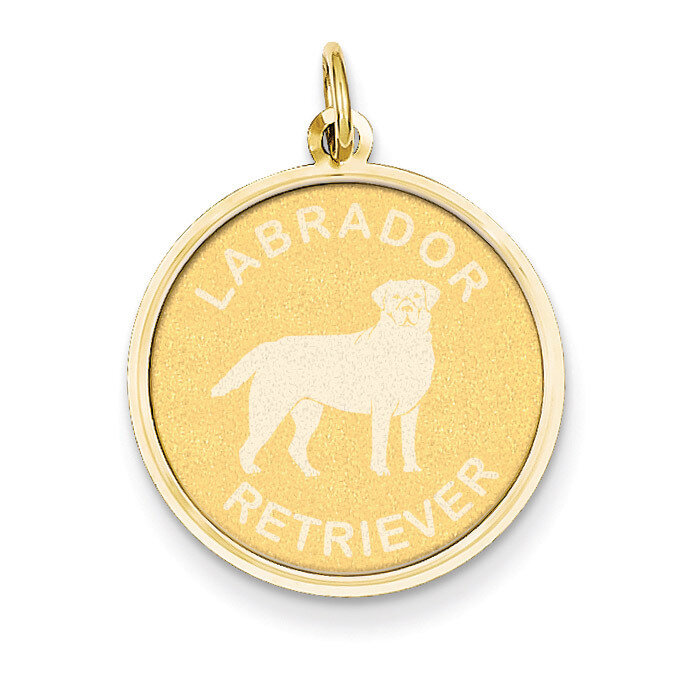 Labrador Retriever Disc Charm 14k Gold XAC870