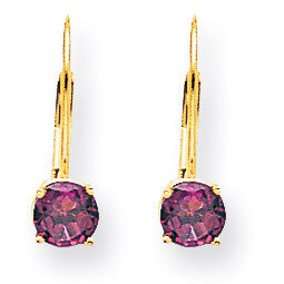 5mm Rhodolite Garnet Leverback Earrings 14k Gold XLB111RG, MPN: XLB111RG, 883957119670