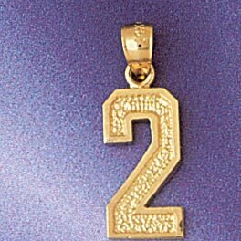 Number 2 Pendant Necklace Charm Bracelet in Yellow, White or Rose Gold 9549
