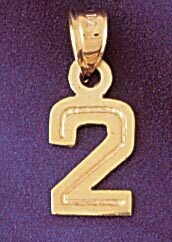 Number 2 Pendant Necklace Charm Bracelet in Yellow, White or Rose Gold 95112