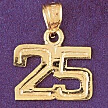Number 25 Pendant Necklace Charm Bracelet in Yellow, White or Rose Gold 951125