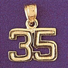 Number 35 Pendant Necklace Charm Bracelet in Yellow, White or Rose Gold 951135