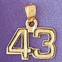 Number 43 Pendant Necklace Charm Bracelet in Yellow, White or Rose Gold 951143