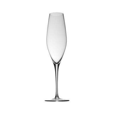 Rosenthal Fuga Stemware Champagne, MPN: 10608-110001-40822, 790955868588