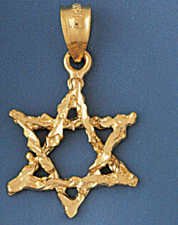 Star of David Pendant Necklace Charm Bracelet in Yellow, White or Rose Gold 9146